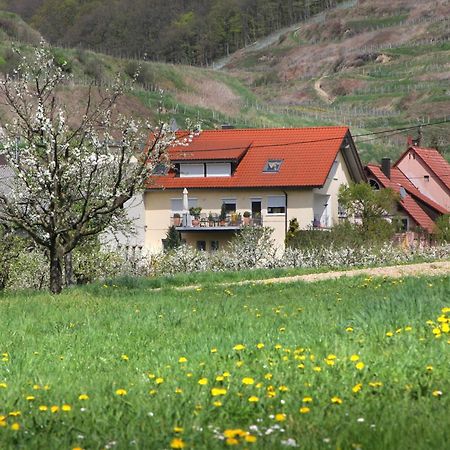 Ferienwohnung Graf Vogtsburg im Kaiserstuhl Zewnętrze zdjęcie