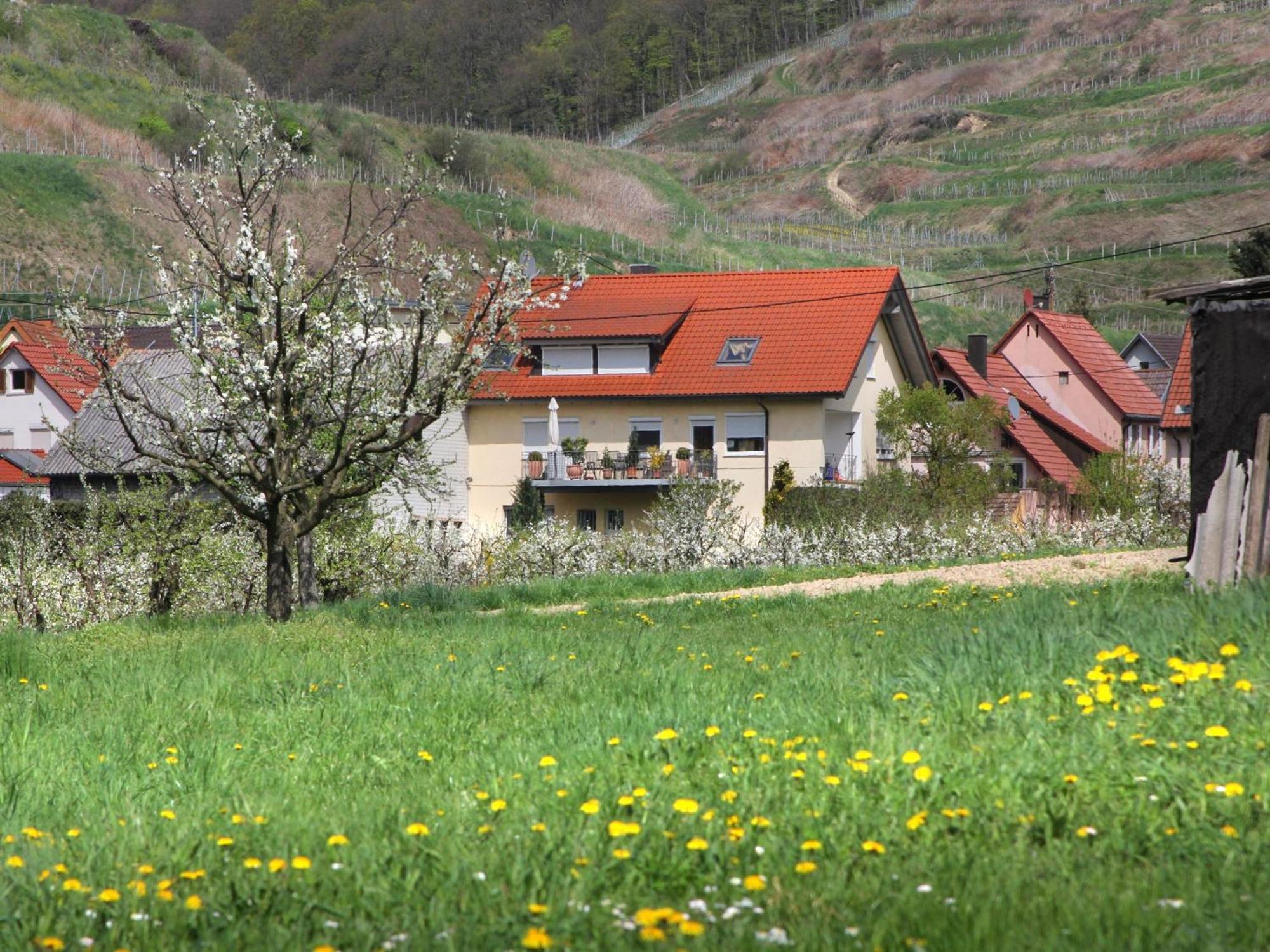 Ferienwohnung Graf Vogtsburg im Kaiserstuhl Zewnętrze zdjęcie