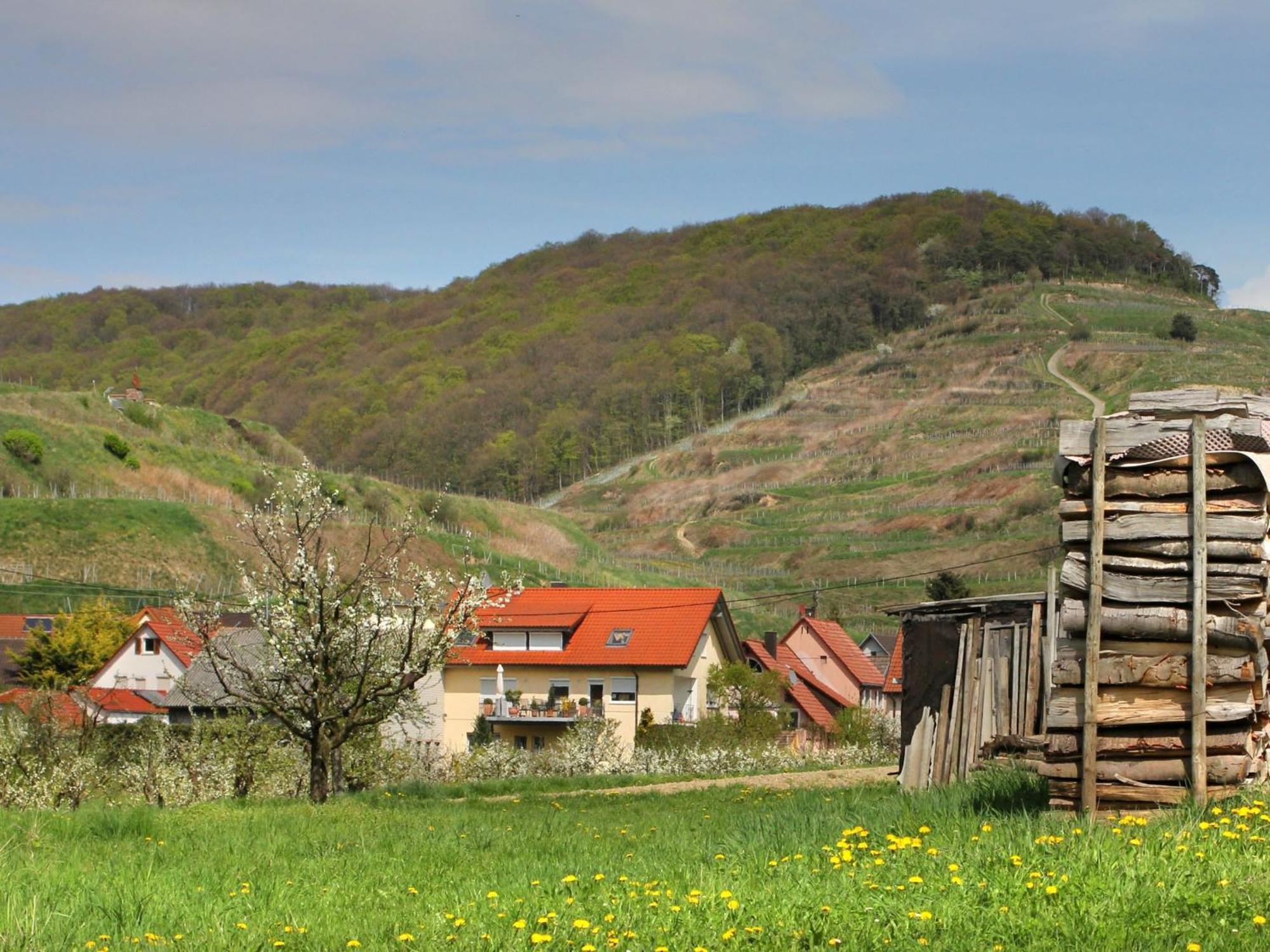 Ferienwohnung Graf Vogtsburg im Kaiserstuhl Zewnętrze zdjęcie